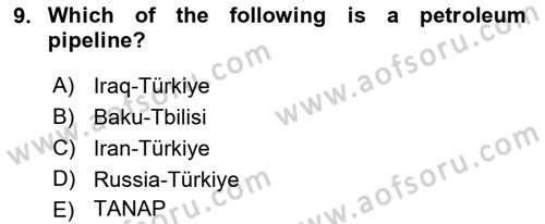 Turkish Economy Dersi 2022 - 2023 Yılı Yaz Okulu Sınav Soruları 9. Soru