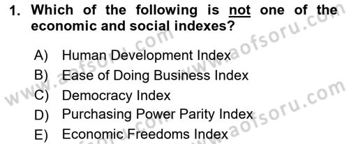 Turkish Economy Dersi 2023 - 2024 Yılı (Vize) Ara Sınav Soruları 1. Soru