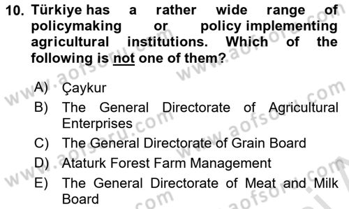 Turkish Economy Dersi 2023 - 2024 Yılı (Vize) Ara Sınav Soruları 10. Soru