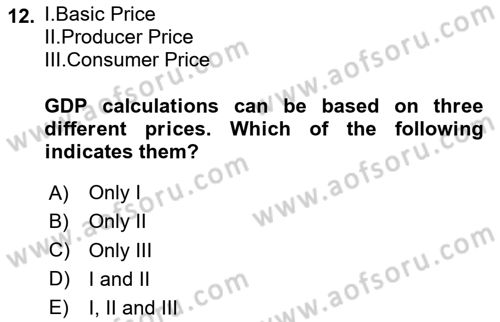Turkish Economy Dersi 2023 - 2024 Yılı (Vize) Ara Sınav Soruları 12. Soru