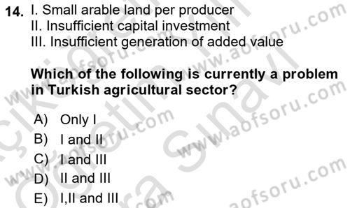 Turkish Economy Dersi 2023 - 2024 Yılı (Vize) Ara Sınav Soruları 14. Soru