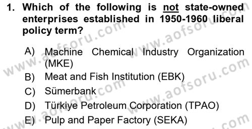Turkish Economy Dersi 2023 - 2024 Yılı (Final) Dönem Sonu Sınav Soruları 1. Soru