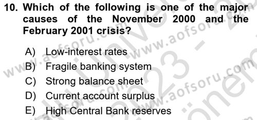 Turkish Economy Dersi 2023 - 2024 Yılı (Final) Dönem Sonu Sınav Soruları 10. Soru