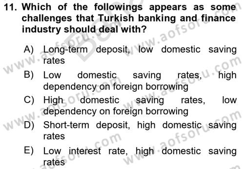 Turkish Economy Dersi 2023 - 2024 Yılı (Final) Dönem Sonu Sınav Soruları 11. Soru