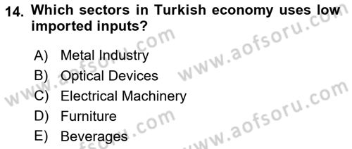 Turkish Economy Dersi 2023 - 2024 Yılı (Final) Dönem Sonu Sınav Soruları 14. Soru