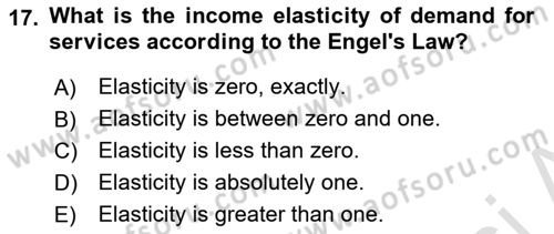 Turkish Economy Dersi 2023 - 2024 Yılı (Final) Dönem Sonu Sınav Soruları 17. Soru