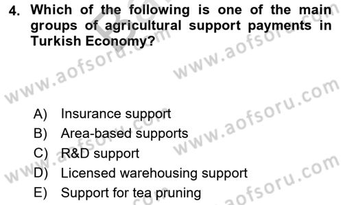 Turkish Economy Dersi 2023 - 2024 Yılı (Final) Dönem Sonu Sınav Soruları 4. Soru