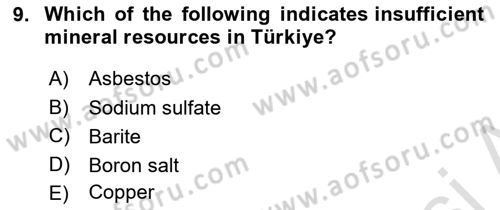 Turkish Economy Dersi 2023 - 2024 Yılı (Final) Dönem Sonu Sınav Soruları 9. Soru