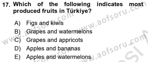 Turkish Economy Dersi 2023 - 2024 Yılı Yaz Okulu Sınav Soruları 17. Soru