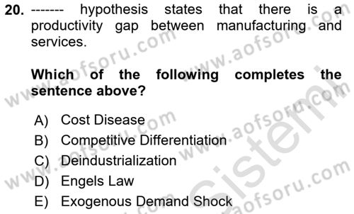 Turkish Economy Dersi 2023 - 2024 Yılı Yaz Okulu Sınav Soruları 20. Soru