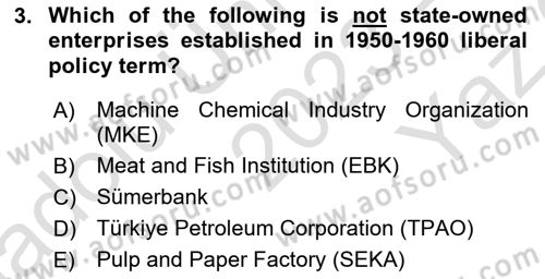 Turkish Economy Dersi 2023 - 2024 Yılı Yaz Okulu Sınav Soruları 3. Soru