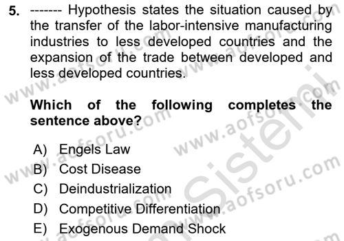 Turkish Economy Dersi 2023 - 2024 Yılı Yaz Okulu Sınav Soruları 5. Soru