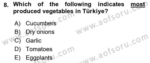 Turkish Economy Dersi 2023 - 2024 Yılı Yaz Okulu Sınav Soruları 8. Soru