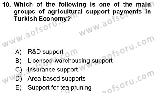 Turkish Economy Dersi 2024 - 2025 Yılı (Vize) Ara Sınav Soruları 10. Soru