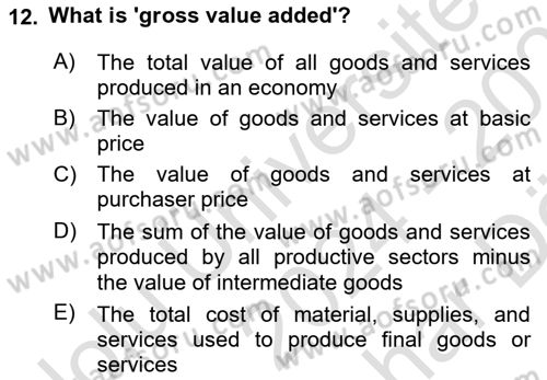 Turkish Economy Dersi 2024 - 2025 Yılı (Vize) Ara Sınav Soruları 12. Soru