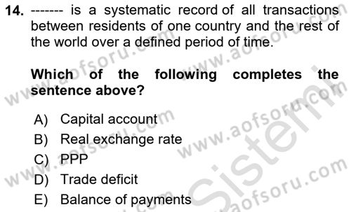 Turkish Economy Dersi 2024 - 2025 Yılı (Vize) Ara Sınav Soruları 14. Soru