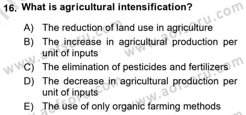 Turkish Economy Dersi 2024 - 2025 Yılı (Vize) Ara Sınav Soruları 16. Soru