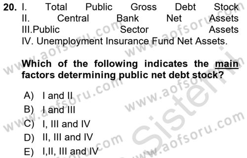 Turkish Economy Dersi 2024 - 2025 Yılı (Vize) Ara Sınav Soruları 20. Soru