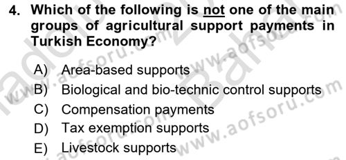 Turkish Economy Dersi 2024 - 2025 Yılı (Vize) Ara Sınav Soruları 4. Soru