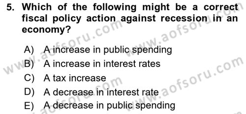 Turkish Economy Dersi 2024 - 2025 Yılı (Vize) Ara Sınav Soruları 5. Soru