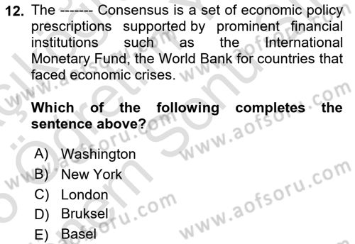 Turkish Economy Dersi 2024 - 2025 Yılı (Final) Dönem Sonu Sınav Soruları 12. Soru