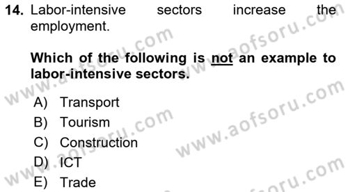 Turkish Economy Dersi 2024 - 2025 Yılı (Final) Dönem Sonu Sınav Soruları 14. Soru