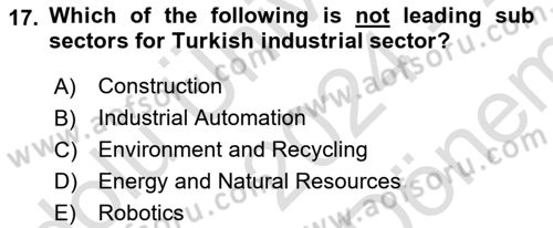 Turkish Economy Dersi 2024 - 2025 Yılı (Final) Dönem Sonu Sınav Soruları 17. Soru