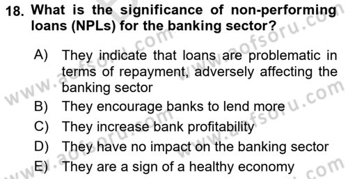 Turkish Economy Dersi 2024 - 2025 Yılı (Final) Dönem Sonu Sınav Soruları 18. Soru