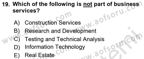 Turkish Economy Dersi 2024 - 2025 Yılı (Final) Dönem Sonu Sınav Soruları 19. Soru