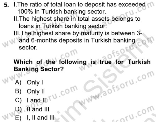 Turkish Economy Dersi 2024 - 2025 Yılı (Final) Dönem Sonu Sınav Soruları 5. Soru