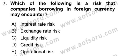 Turkish Economy Dersi 2024 - 2025 Yılı (Final) Dönem Sonu Sınav Soruları 7. Soru