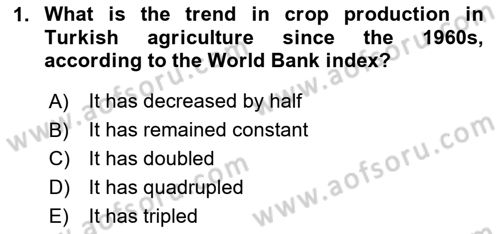 Turkish Economy Dersi 2024 - 2025 Yılı Yaz Okulu Sınav Soruları 1. Soru