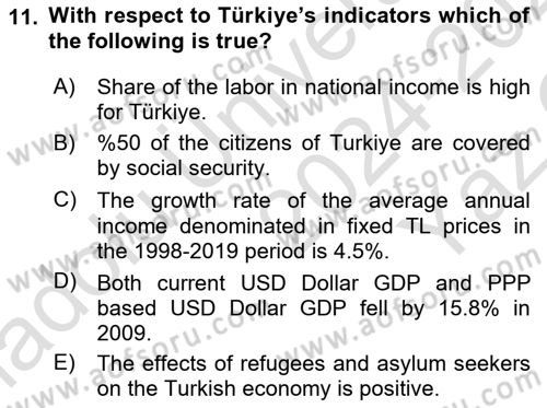 Turkish Economy Dersi 2024 - 2025 Yılı Yaz Okulu Sınav Soruları 11. Soru