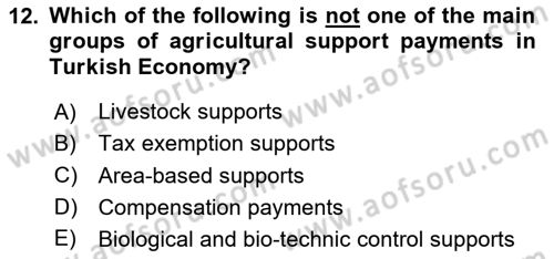 Turkish Economy Dersi 2024 - 2025 Yılı Yaz Okulu Sınav Soruları 12. Soru