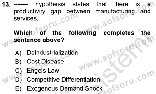 Turkish Economy Dersi 2024 - 2025 Yılı Yaz Okulu Sınav Soruları 13. Soru