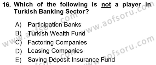 Turkish Economy Dersi 2024 - 2025 Yılı Yaz Okulu Sınav Soruları 16. Soru
