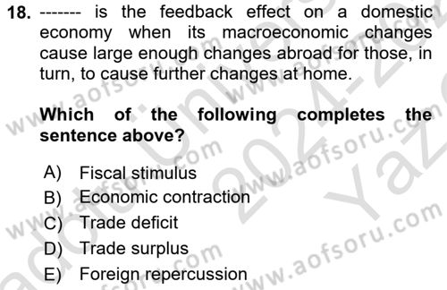 Turkish Economy Dersi 2024 - 2025 Yılı Yaz Okulu Sınav Soruları 18. Soru