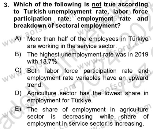 Turkish Economy Dersi 2024 - 2025 Yılı Yaz Okulu Sınav Soruları 3. Soru
