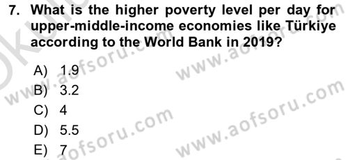 Turkish Economy Dersi 2024 - 2025 Yılı Yaz Okulu Sınav Soruları 7. Soru