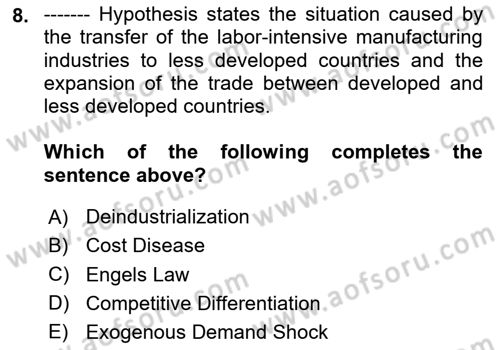 Turkish Economy Dersi 2024 - 2025 Yılı Yaz Okulu Sınav Soruları 8. Soru