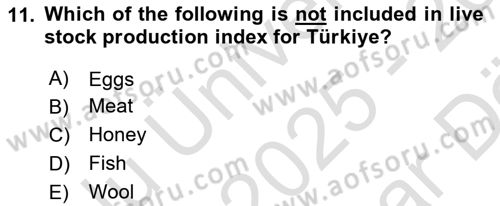 Turkish Economy Dersi 2025 - 2026 Yılı (Vize) Ara Sınav Soruları 11. Soru