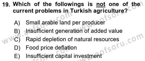 Turkish Economy Dersi 2025 - 2026 Yılı (Vize) Ara Sınav Soruları 19. Soru