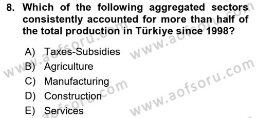 Turkish Economy Dersi 2025 - 2026 Yılı (Vize) Ara Sınav Soruları 8. Soru
