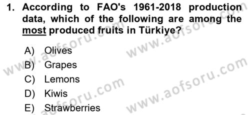 Turkish Economy Dersi 2025 - 2026 Yılı (Final) Dönem Sonu Sınav Soruları 1. Soru