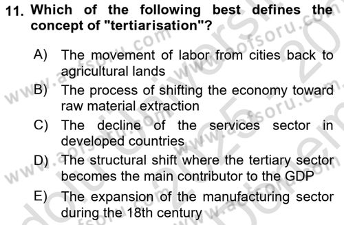 Turkish Economy Dersi 2025 - 2026 Yılı (Final) Dönem Sonu Sınav Soruları 11. Soru