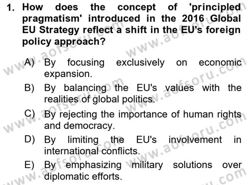 The European Union and Global Politics Dersi 2023 - 2024 Yılı (Vize) Ara Sınav Soruları 1. Soru