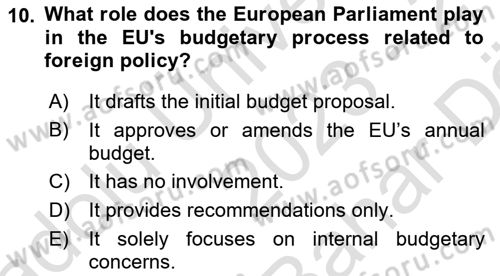 The European Union and Global Politics Dersi 2023 - 2024 Yılı (Vize) Ara Sınav Soruları 10. Soru