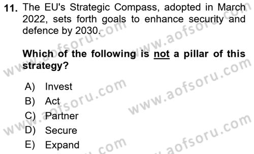 The European Union and Global Politics Dersi 2023 - 2024 Yılı (Vize) Ara Sınav Soruları 11. Soru