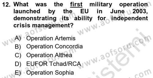 The European Union and Global Politics Dersi 2023 - 2024 Yılı (Vize) Ara Sınav Soruları 12. Soru