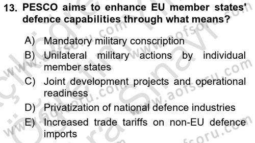 The European Union and Global Politics Dersi 2023 - 2024 Yılı (Vize) Ara Sınav Soruları 13. Soru
